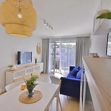 Sunset - Roosevelta - Premium - Garaz